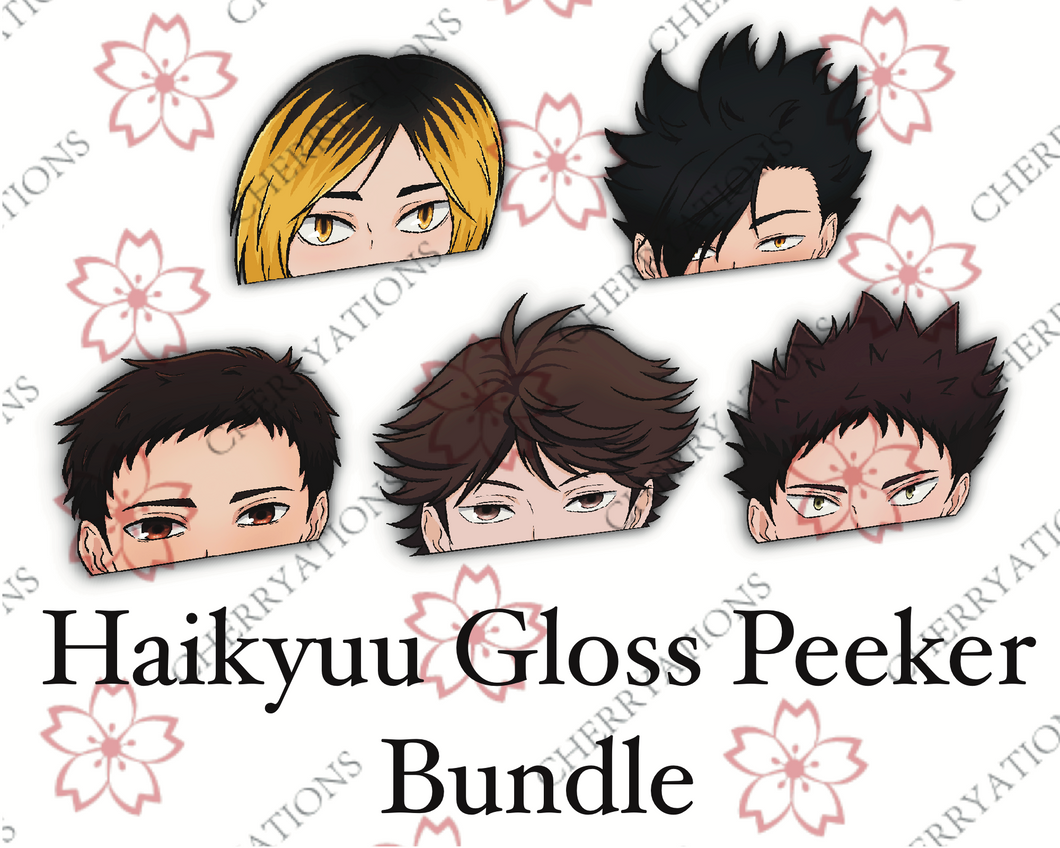 Haikyuu Bundles
