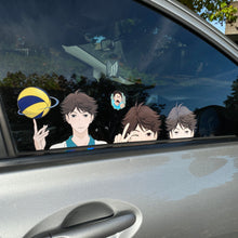 Load image into Gallery viewer, Iwa-chan
