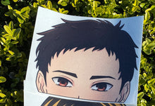 Load image into Gallery viewer, Daichi Peeker
