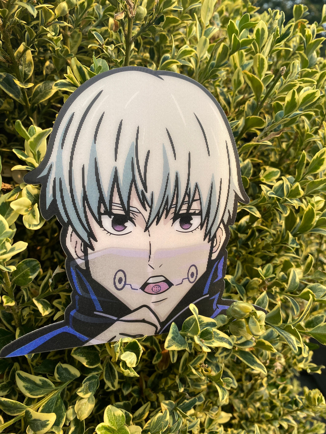 Inumaki Lenticular